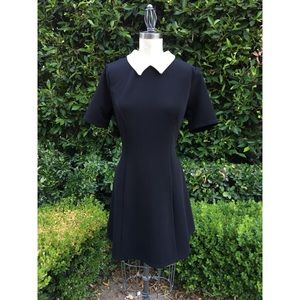 Black Ribbed Mini Dress with White Collar